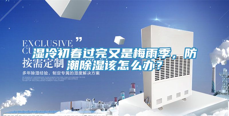濕冷初春過完又是梅雨季，防潮除濕該怎麽辦？