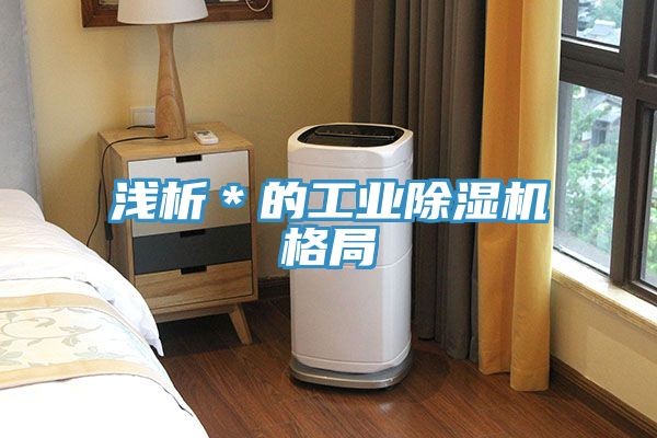 淺析＊的工業91看片软件大全格局
