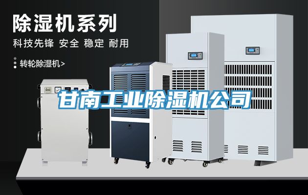 甘南工業91看片软件大全公司