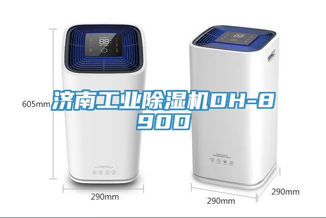 濟南工業91看片软件大全DH-890D