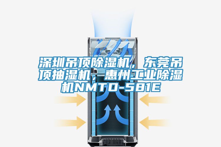 深圳吊頂91看片软件大全，東莞吊頂抽濕機，惠州工業91看片软件大全NMTD-581E
