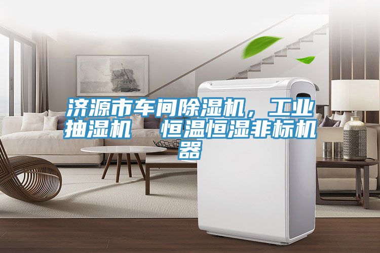 濟源市車間91看片软件大全，工業抽濕機  恒溫恒濕非標機器