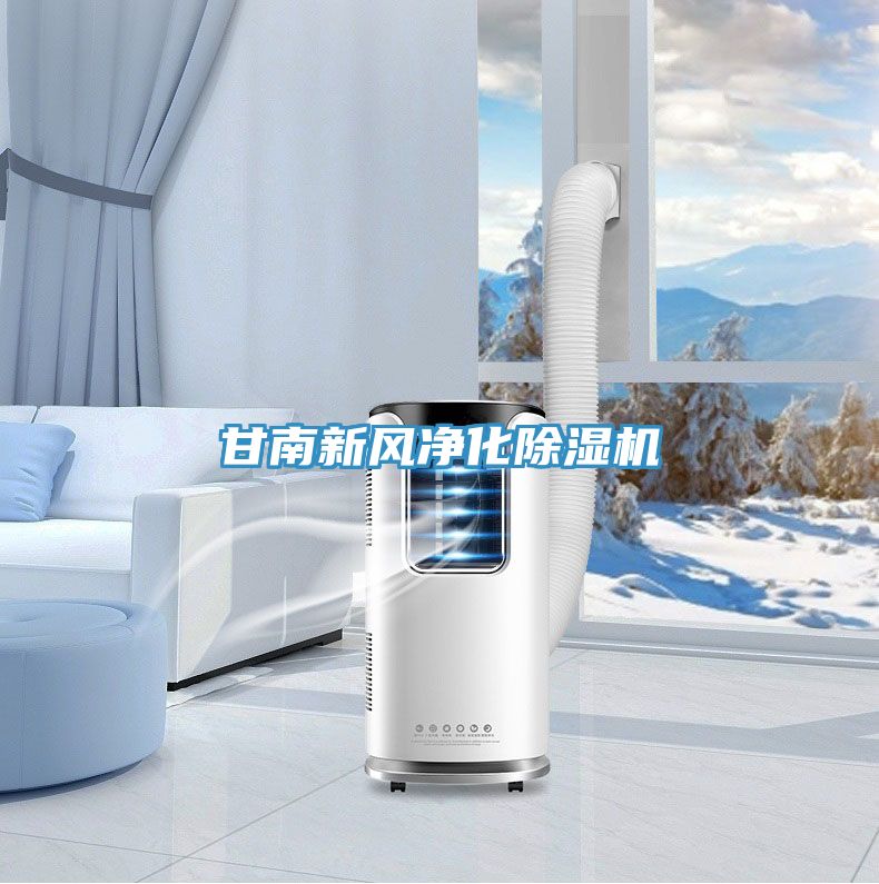甘南新風淨化91看片软件大全