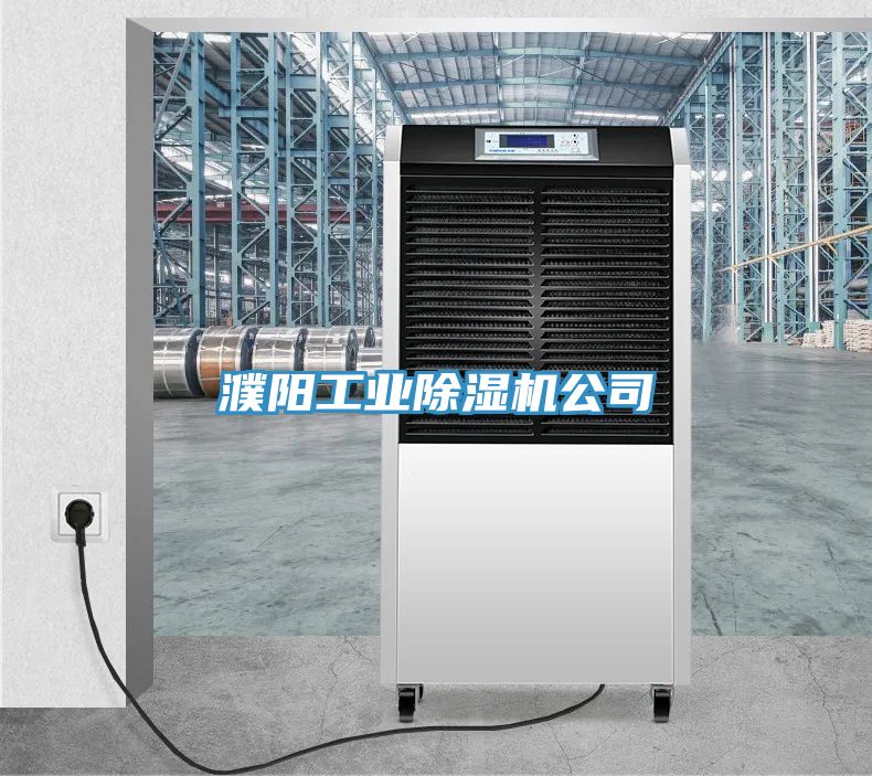 濮陽工業91看片软件大全公司