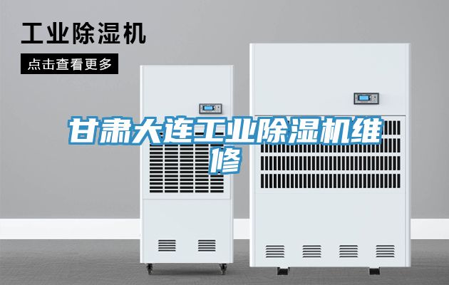 甘肅大連工業91看片软件大全維修