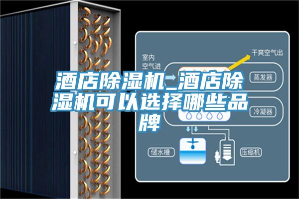 酒店91看片软件大全_酒店91看片软件大全可以選擇哪些品牌
