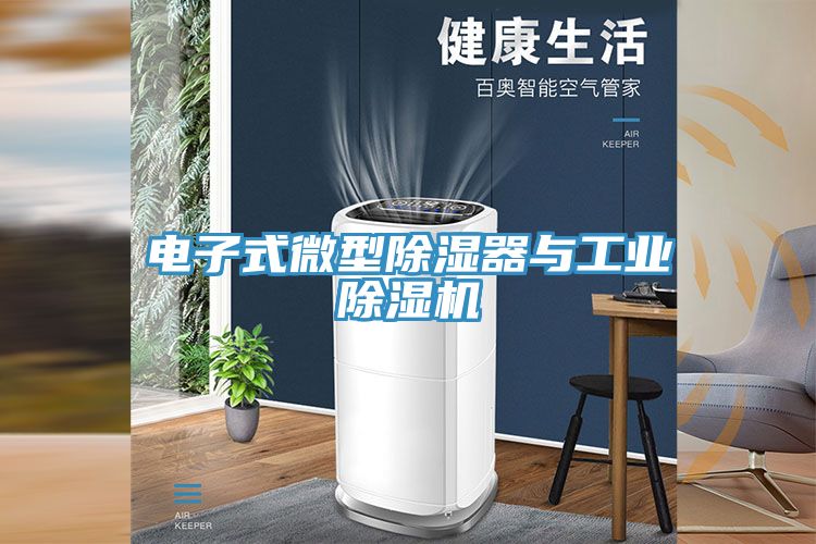 電子式微型除濕器與工業91看片软件大全