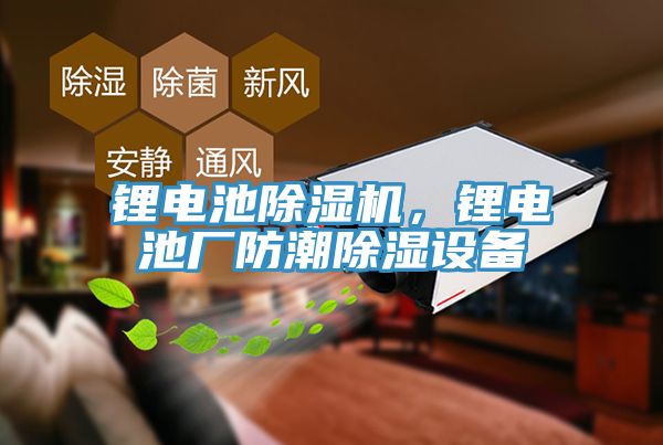 鋰電池91看片软件大全，鋰電池廠防潮除濕設備