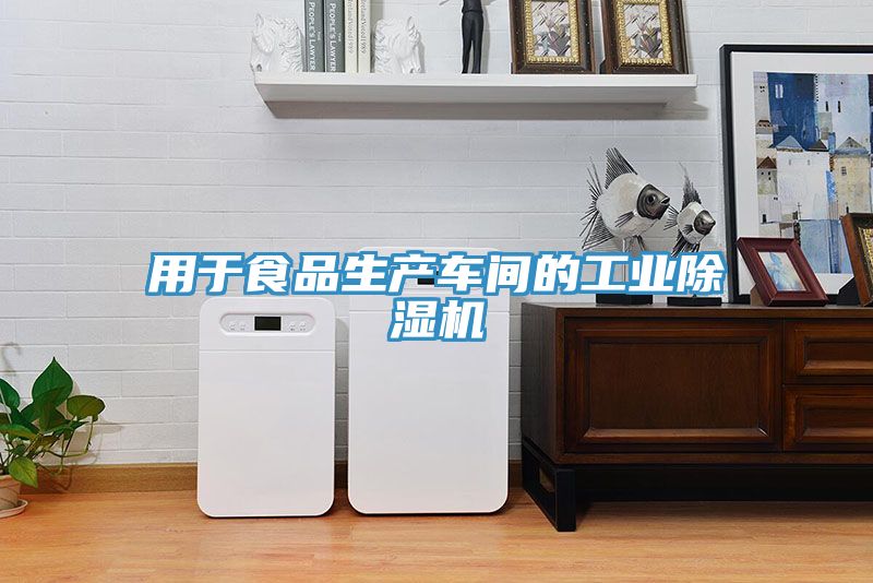 用於食品生產車間的工業91看片软件大全