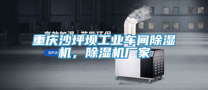 重慶沙坪壩工業車間91看片软件大全，91看片软件大全廠家