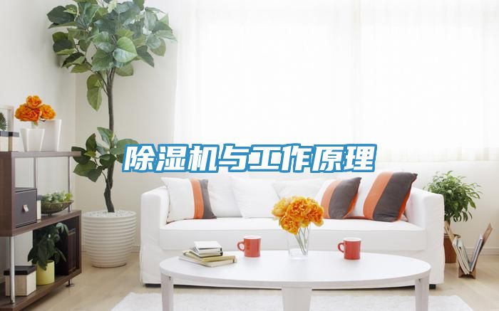 91看片软件大全與工作原理