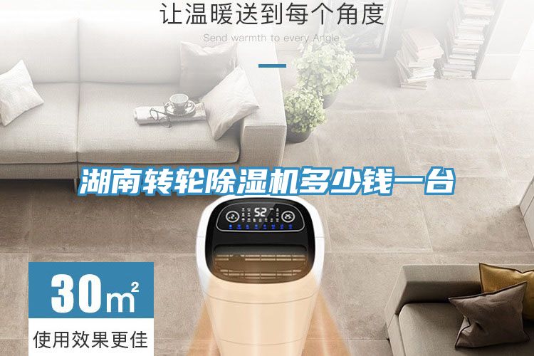 湖南轉輪91看片软件大全多少錢一台