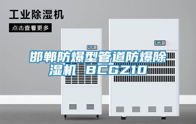 邯鄲防爆型管道防爆91看片软件大全 BCGZ10