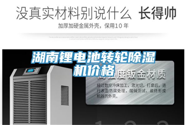 湖南鋰電池轉輪91看片软件大全價格