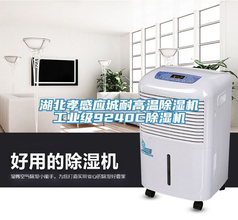 湖北孝感應城耐高溫91看片软件大全工業級9240C91看片软件大全