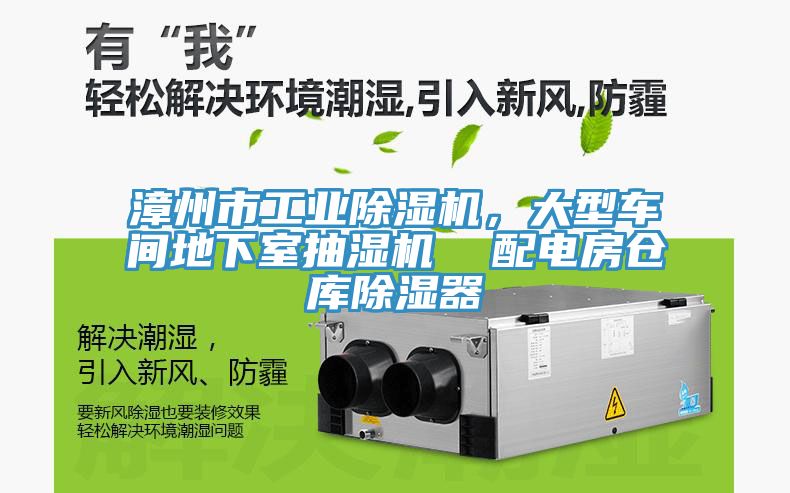 漳州市工業91看片软件大全，大型車間地下室抽濕機  配電房倉庫除濕器