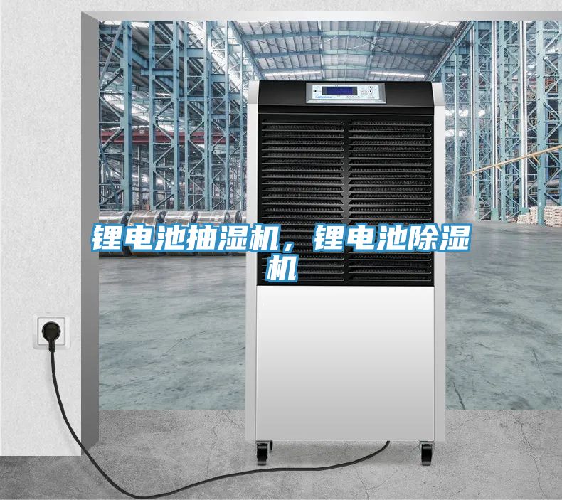 鋰電池抽濕機，鋰電池91看片软件大全