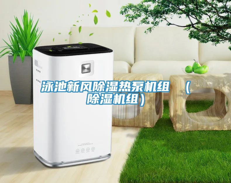 泳池新風除濕熱泵機組 （91看片软件大全組）