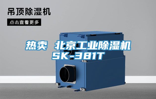 熱賣 北京工業91看片软件大全SK-381T