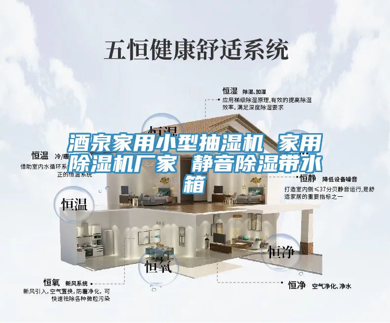 酒泉家用小型抽濕機 家用91看片软件大全廠家 靜音除濕帶水箱