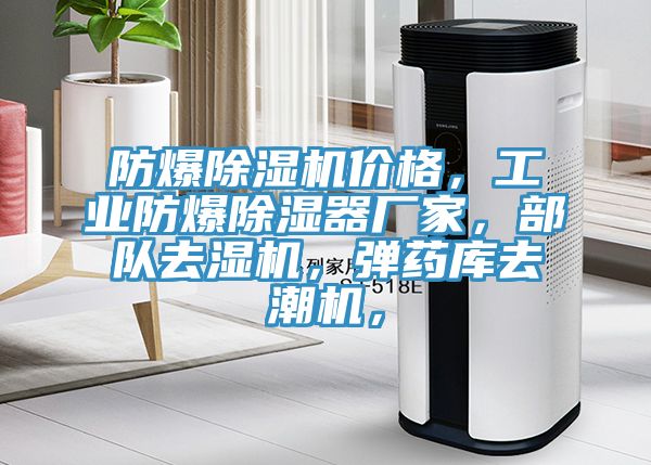 防爆91看片软件大全價格，工業防爆除濕器廠家，部隊去濕機，彈藥庫去潮機，