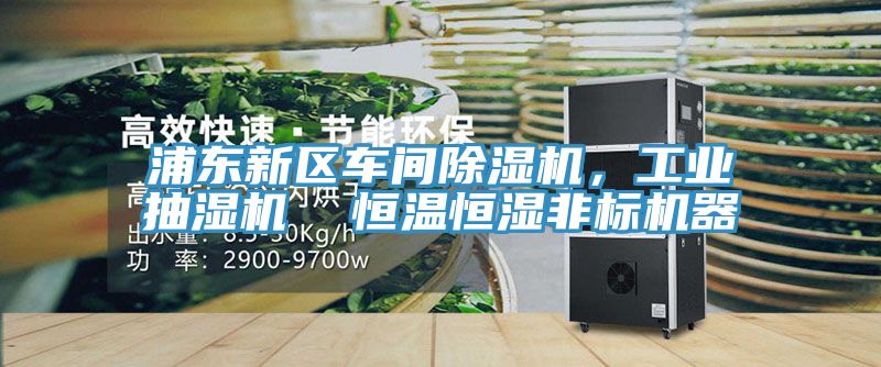 浦東新區車間91看片软件大全，工業抽濕機  恒溫恒濕非標機器
