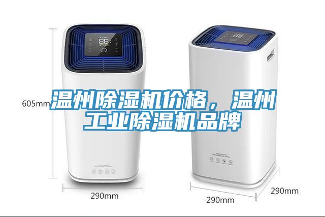溫州91看片软件大全價格，溫州工業91看片软件大全品牌