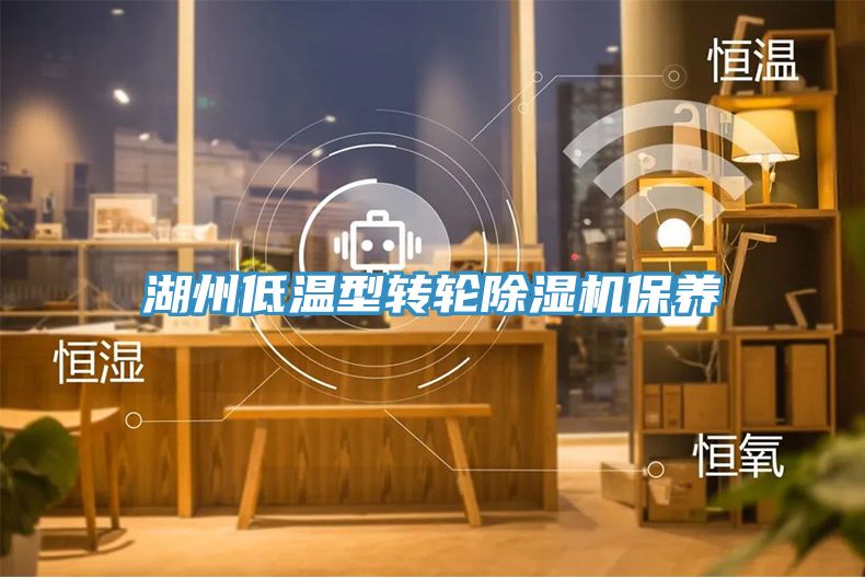 湖州低溫型轉輪91看片软件大全保養