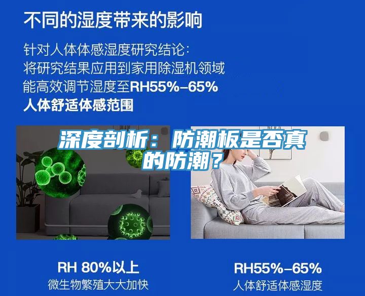 深度剖析：防潮板是否真的防潮？