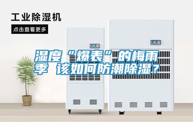 濕度“爆表”的梅雨季 該如何防潮除濕？