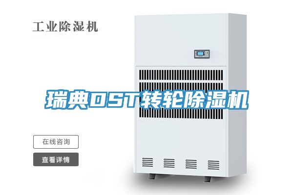 瑞典DST轉輪91看片软件大全