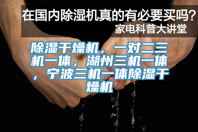 除濕幹燥機，一對二三機一體，湖州三機一體，寧波三機一體除濕幹燥機