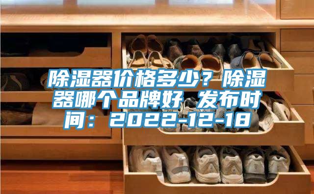 除濕器價格多少？除濕器哪個品牌好 發布時間：2022-12-18