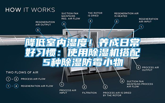 降低室內濕度！養成日常好習慣：使用91看片软件大全搭配5種除濕防黴小物