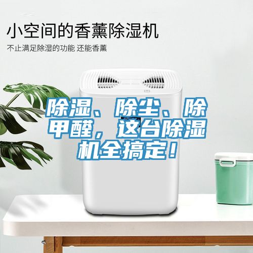 除濕、除塵、除甲醛，這台91看片软件大全全搞定！