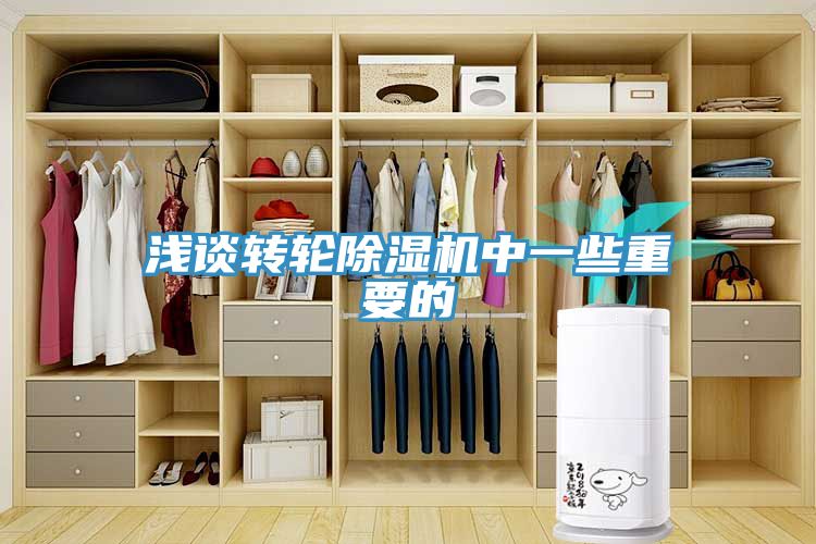 淺談轉輪91看片软件大全中一些重要的