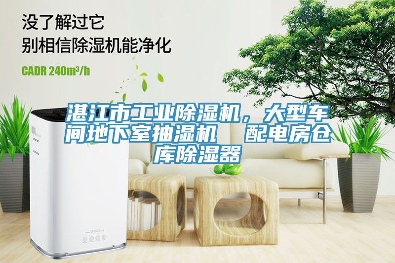 湛江市工業91看片软件大全，大型車間地下室抽濕機  配電房倉庫除濕器