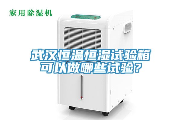 武漢恒溫恒濕試驗箱可以做哪些試驗？