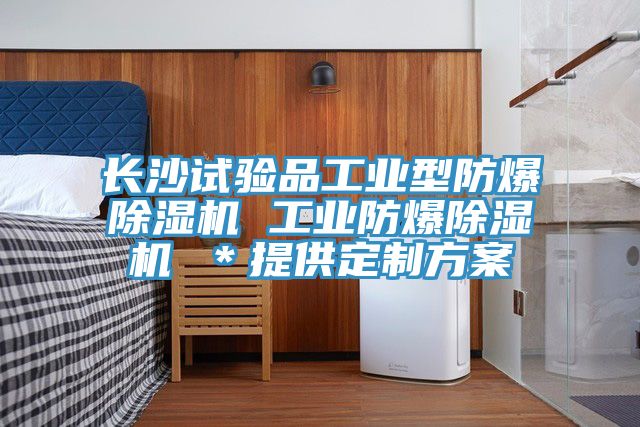 長沙試驗品工業型防爆91看片软件大全 工業防爆91看片软件大全 ＊提供定製方案