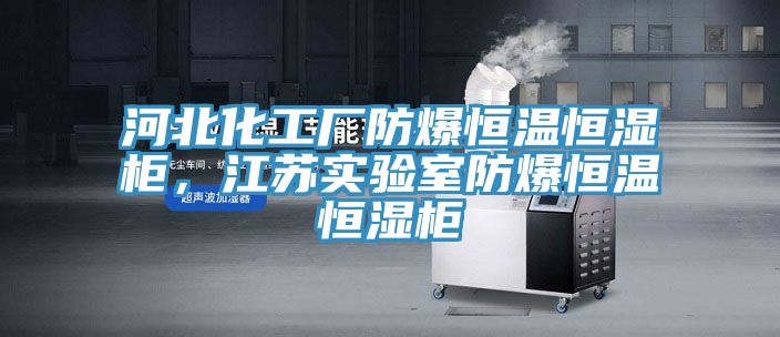 河北化工廠防爆恒溫恒濕櫃，江蘇實驗室防爆恒溫恒濕櫃