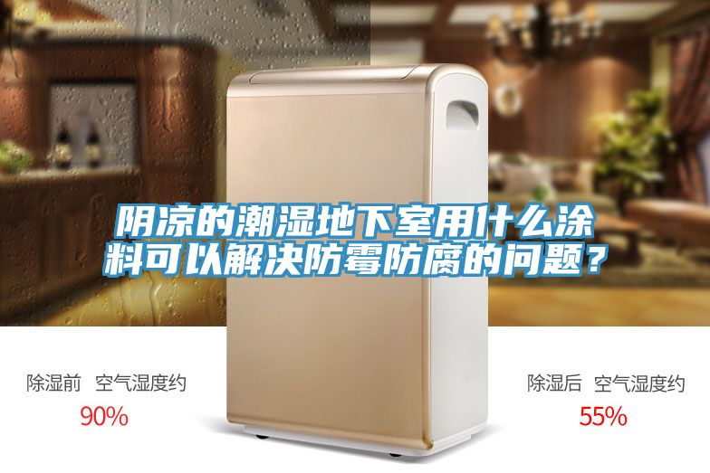陰涼的潮濕地下室用什麽塗料可以解決防黴防腐的問題？