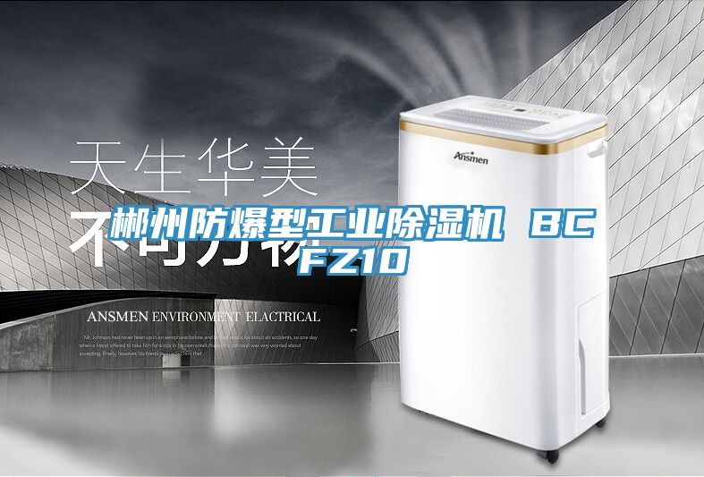 郴州防爆型工業91看片软件大全 BCFZ10