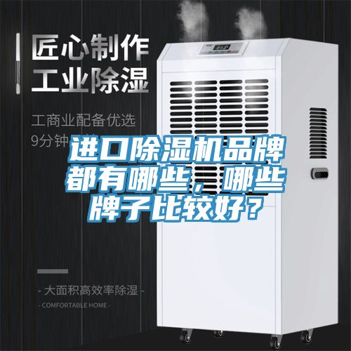 進口91看片软件大全品牌都有哪些，哪些牌子比較好？