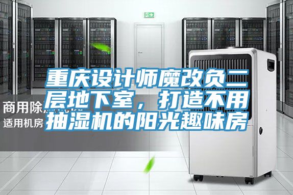重慶設計師魔改負二層地下室，打造不用抽濕機的陽光趣味房