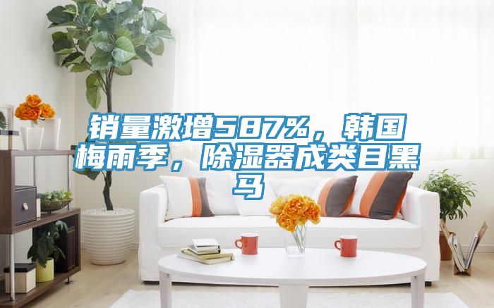 銷量激增587%，韓國梅雨季，除濕器成類目黑馬