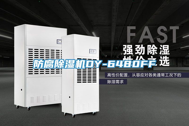 防腐91看片软件大全DY-6480FF