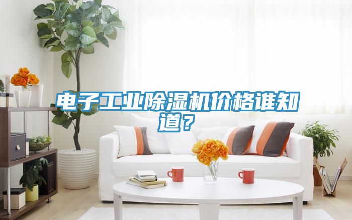 電子工業91看片软件大全價格誰知道？