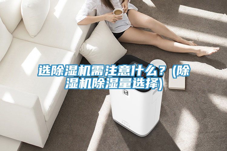 選91看片软件大全需注意什麽？(91看片软件大全除濕量選擇)