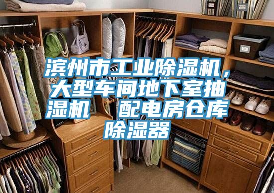 濱州市工業91看片软件大全，大型車間地下室抽濕機  配電房倉庫除濕器