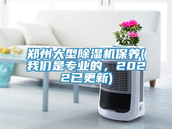 鄭州大型91看片软件大全保養(91AV手机看片是專業的，2022已更新)